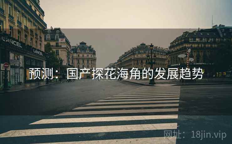 预测：国产探花海角的发展趋势