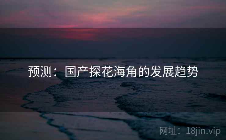 预测：国产探花海角的发展趋势