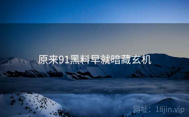 原来91黑料早就暗藏玄机  第2张