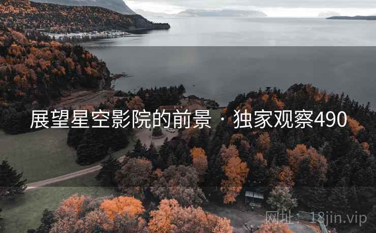 展望星空影院的前景 · 独家观察490  第2张