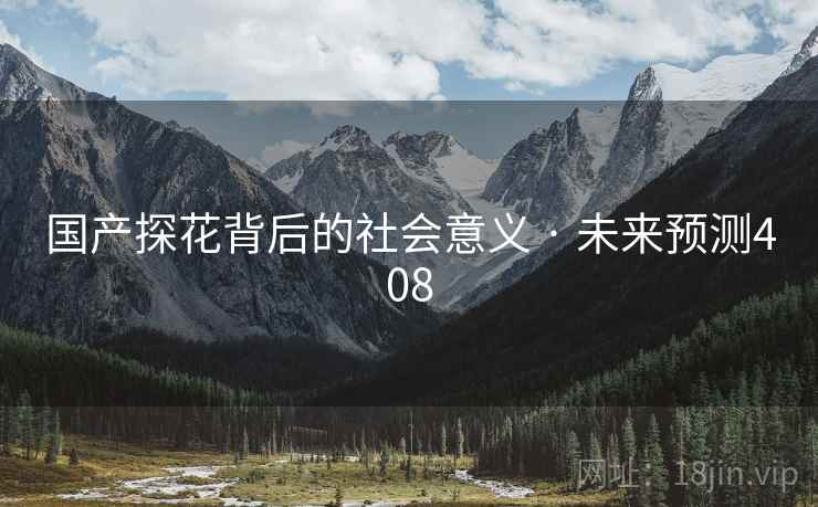 国产探花背后的社会意义 · 未来预测408