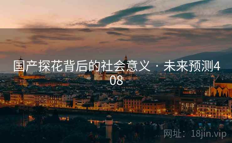 国产探花背后的社会意义 · 未来预测408