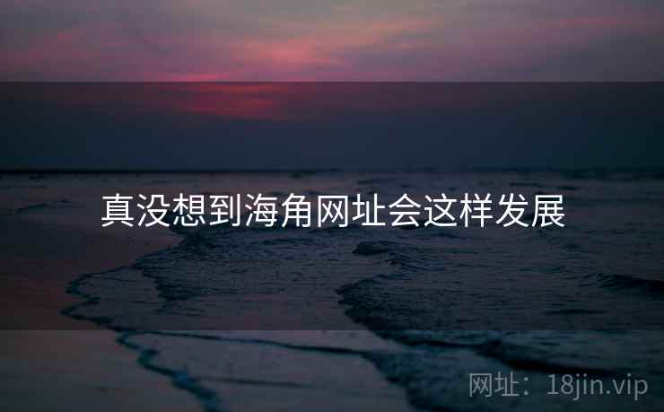 真没想到海角网址会这样发展