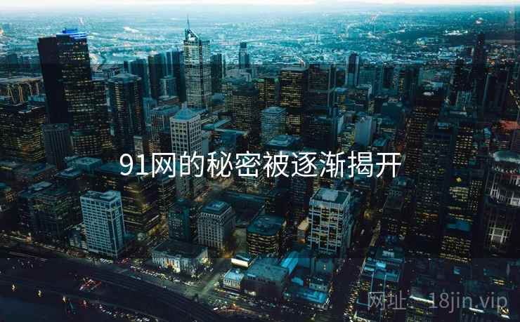 91网的秘密被逐渐揭开