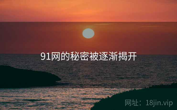91网的秘密被逐渐揭开