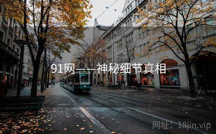 91网——神秘细节真相