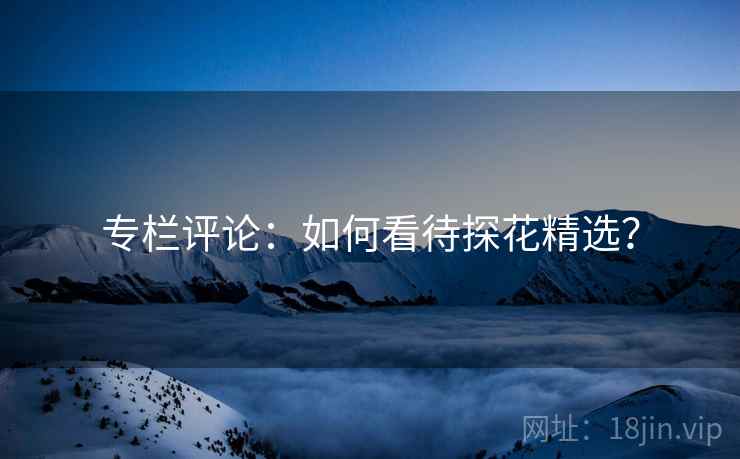 专栏评论：如何看待探花精选？