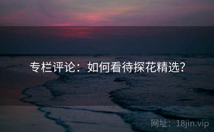 专栏评论：如何看待探花精选？