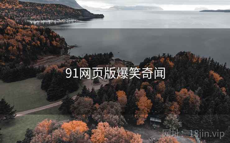 91网页版爆笑奇闻