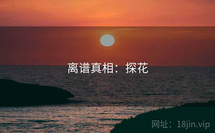 离谱真相：探花