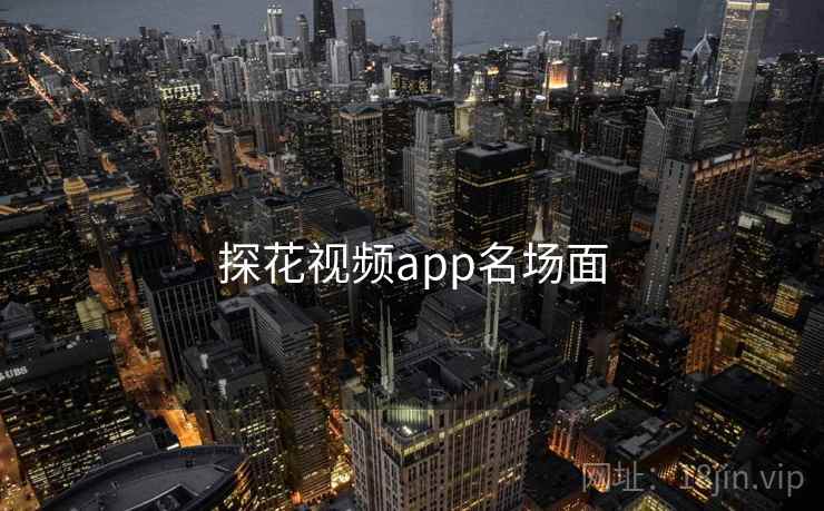 探花视频app名场面